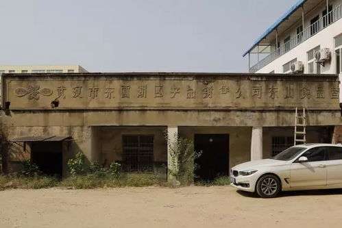 文物古跡 文物古跡 武漢市東西湖區(qū)人民政府 武漢臨空港經濟技術開發(fā)區(qū)管委會