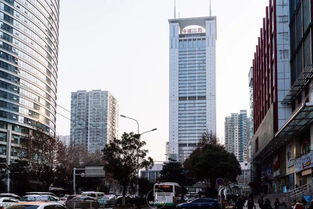 在武漢上班的你,是為了什么