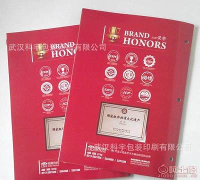 【廠家免費專業設計印刷企業宣傳冊、產品畫冊、說明書