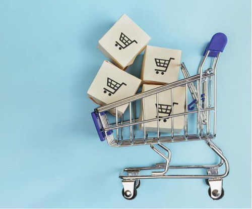 市場細分驅動下的得物 深化經營現狀、挑戰與未來電商平臺突破之路