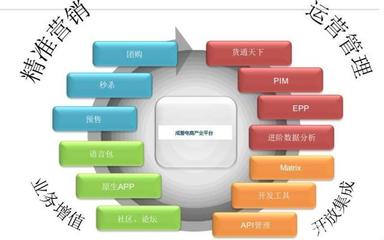 電商運營高手為何不自創品牌？解析平臺開發與運營的深層邏輯